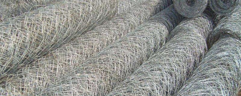 山林放養豬怎么圈山