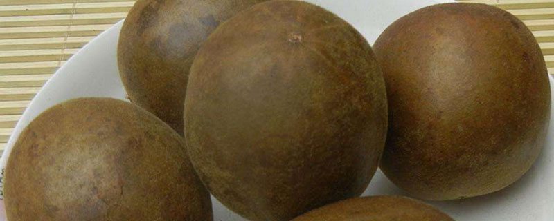 羅漢果的種子能種嗎 羅漢果種子哪里買