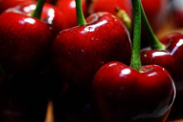 櫻桃種類有哪些