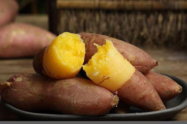 農村養(yǎng)殖致富門路