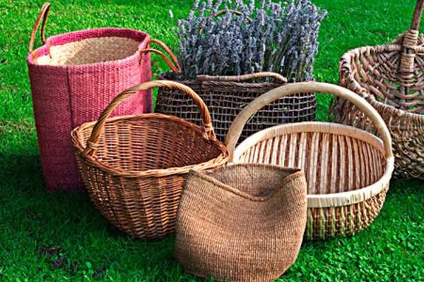 農村養(yǎng)殖致富門路