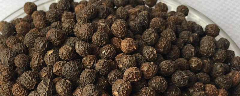 梧桐子是什么樹結的 梧桐子可以榨油嗎