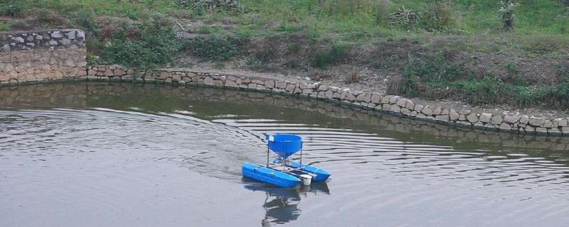 河蝦養(yǎng)殖水位