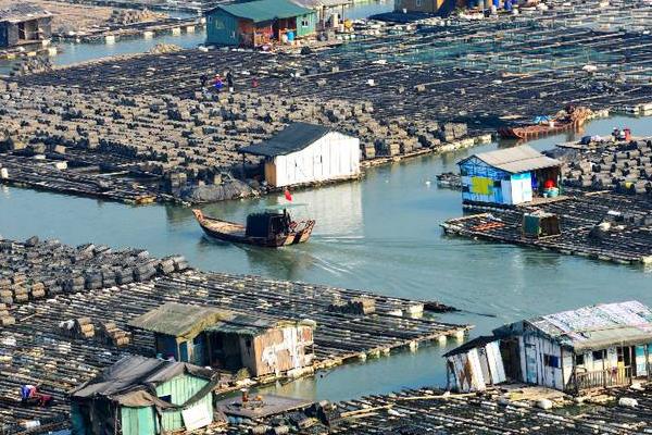 網箱養海參技術
