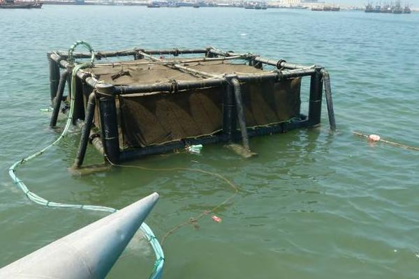 網箱養海參技術