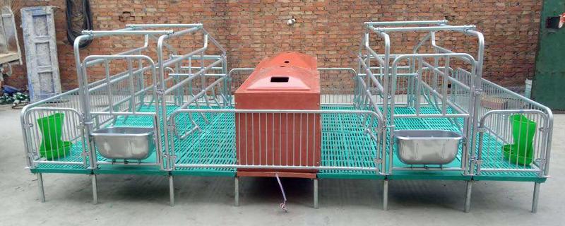 豬的產床多少錢