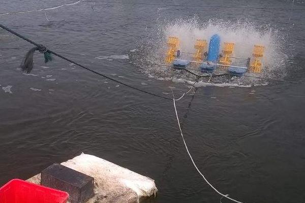 養海參水深多少米合適