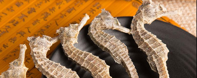 海馬是魚嗎 海馬是馬嗎 海馬吃什么