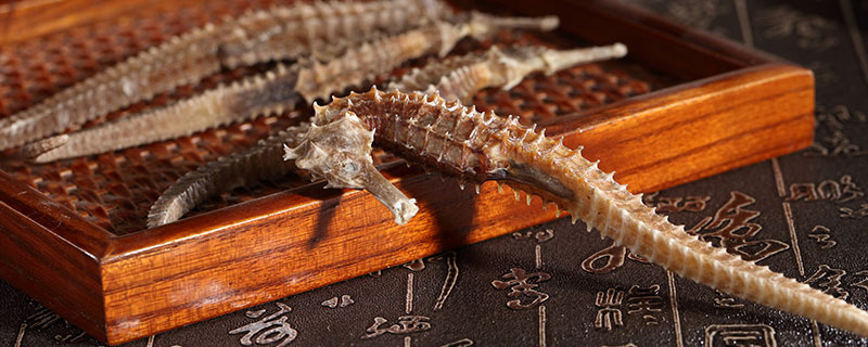 海馬能吃嗎 海馬怎么吃