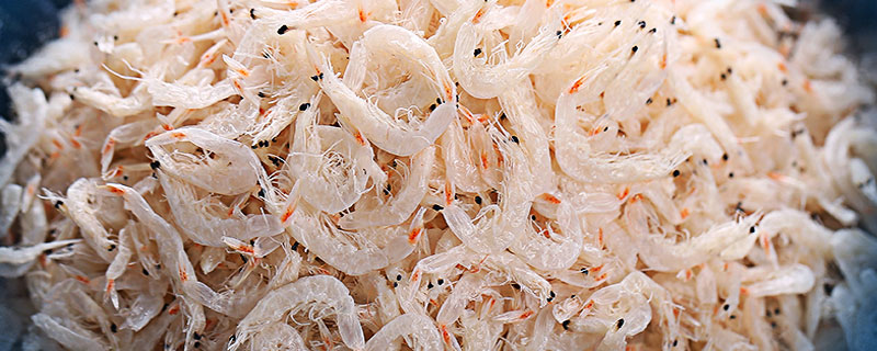 蝦米吃什么 蝦米是海鮮嗎