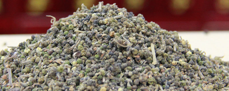 吳茱萸市場價格多少錢一斤 吳茱萸產地在哪里