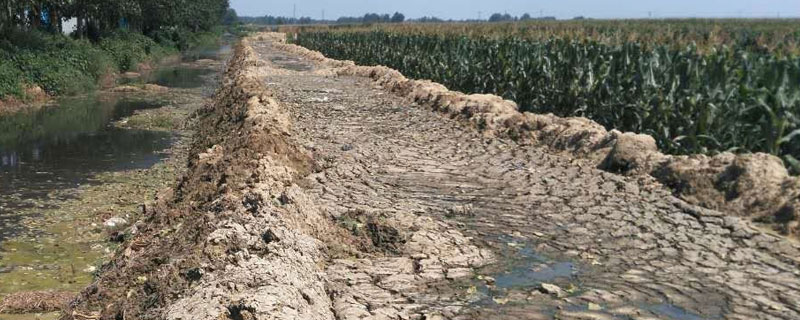 養豬場豬糞怎么處理