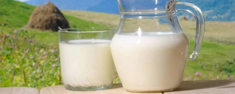 綿羊奶和山羊奶的區(qū)別