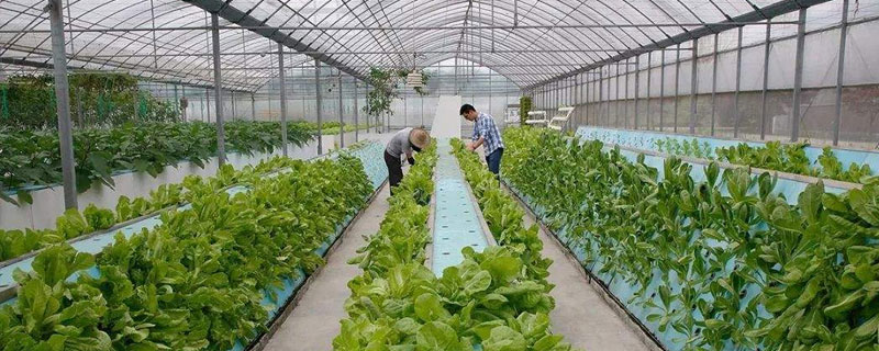 2019年預(yù)測(cè)農(nóng)村市場(chǎng)最缺什么