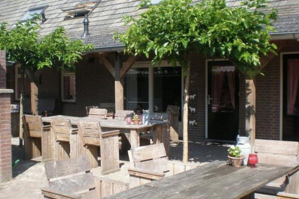 農村民宿發展趨勢