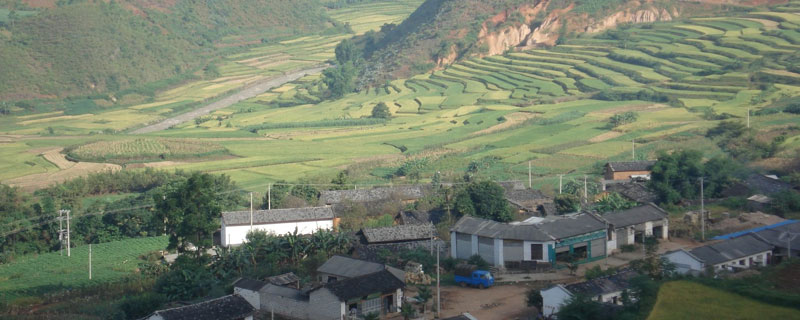 藏在農(nóng)村不起眼的暴力小生意有哪些