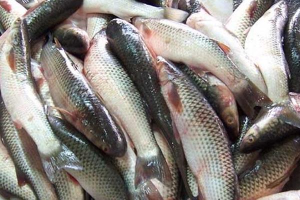 農村賣什么東西賺錢