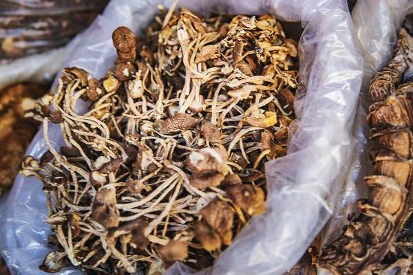 農村賣什么東西賺錢