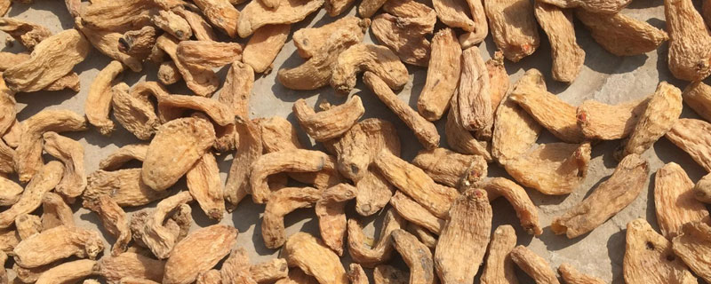 目前長年緊缺的中藥材有哪幾種