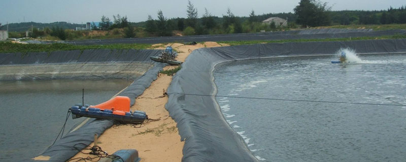 在農村做什么生意能一年回本
