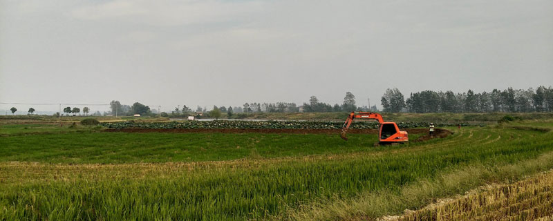 未來農村可發展的項目有哪些 這8個項目可以提前布局