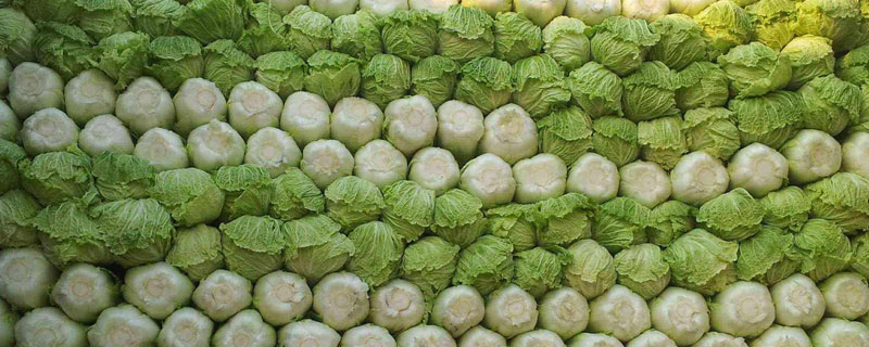 在農(nóng)村倒賣什么容易賺錢