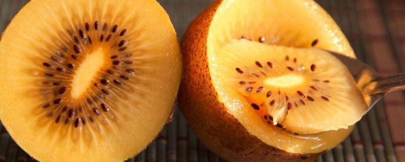黃心獼猴桃價(jià)格多少錢一斤