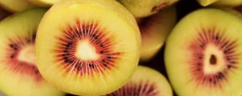 紅心獼猴桃價(jià)格多少錢一斤