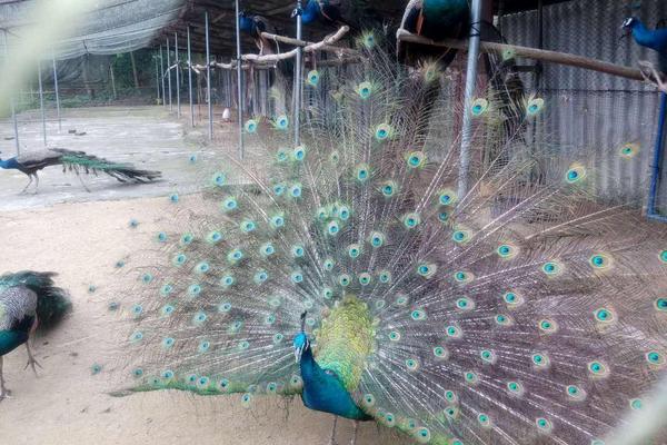 農村養殖業什么賺錢