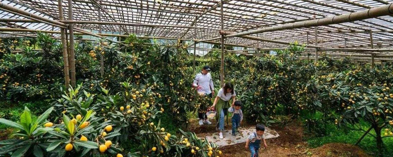 農村最缺什么生意