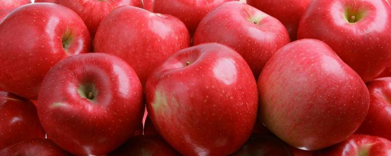 蘋果市場價格多少錢一斤