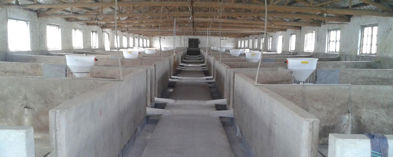 養豬設備一套要多少錢