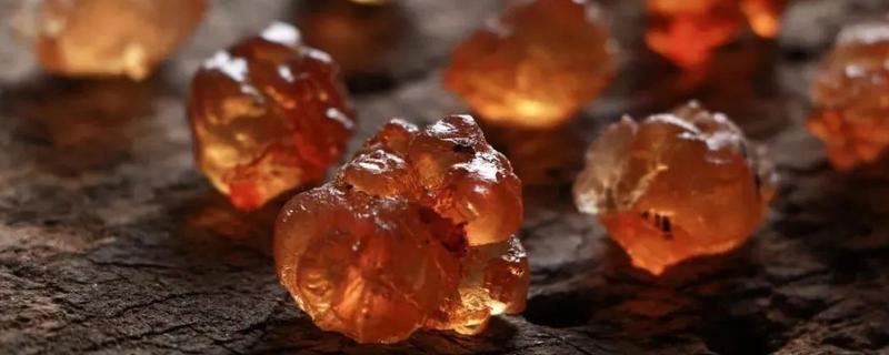 桃樹膠的價格多少錢一斤