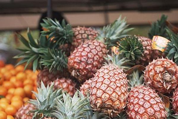 菠蘿種類有哪些