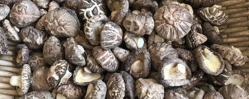 干花菇怎么泡發 干花菇需要泡多長時間（泡一晚上可以嗎）