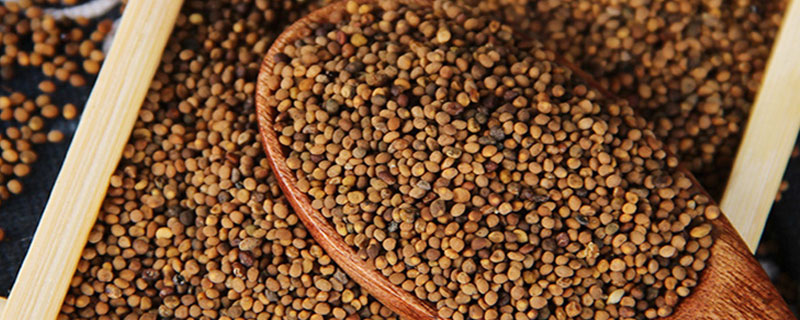 菟絲子市場價格多少錢一斤 菟絲子產地在哪里