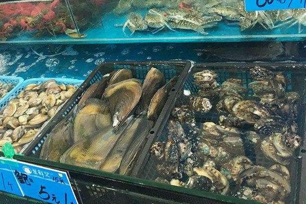 海鮮店如何養(yǎng)鮑魚