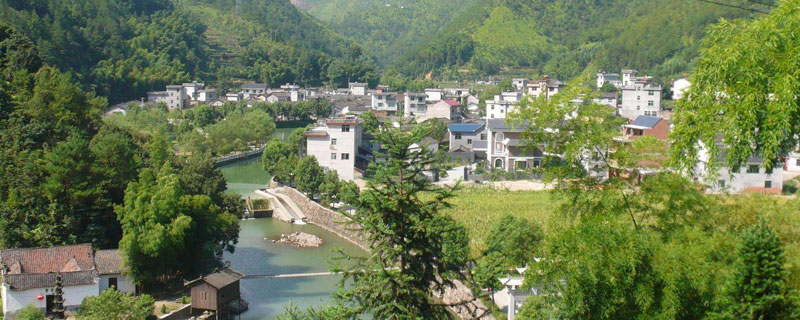 年輕人回農村能干什么