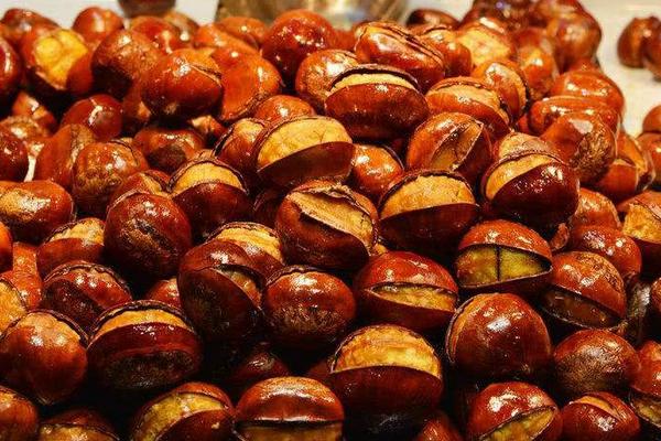 板栗種類