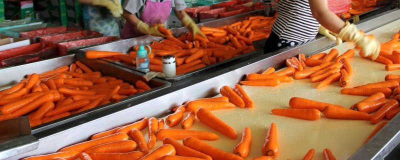 農村開什么廠賺錢