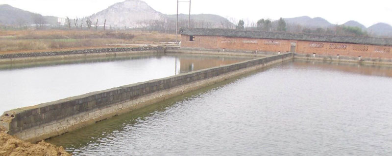 在農(nóng)村建魚塘要多少錢