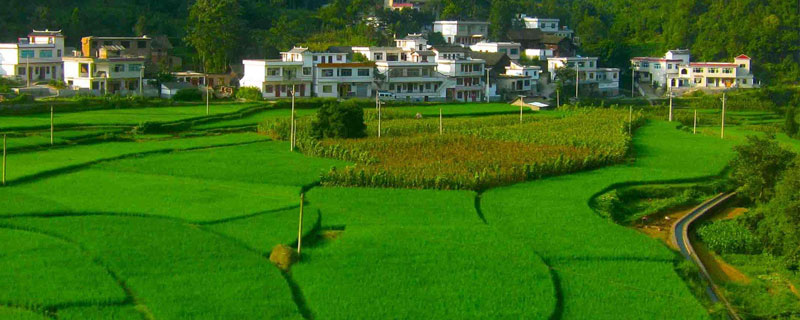 農村一畝地能貸款多少