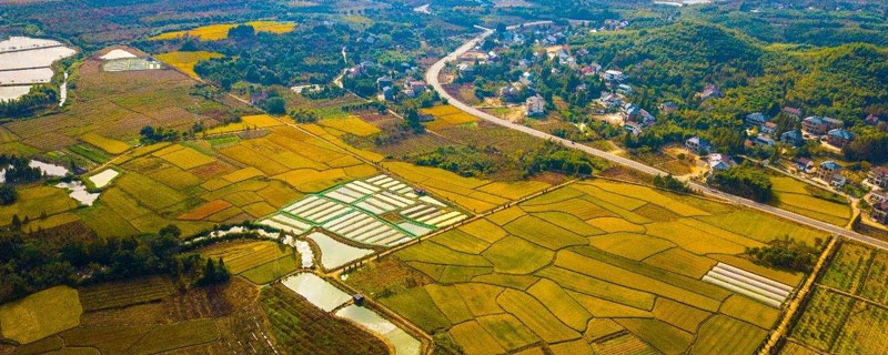 農(nóng)民如何貸款