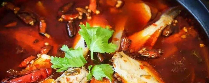 辣椒精價格多少錢一瓶