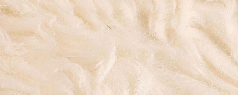 羊毛燒了什么味道 劣質羊毛被有什么危害