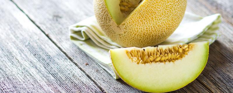哈密瓜種子價格多少錢一斤