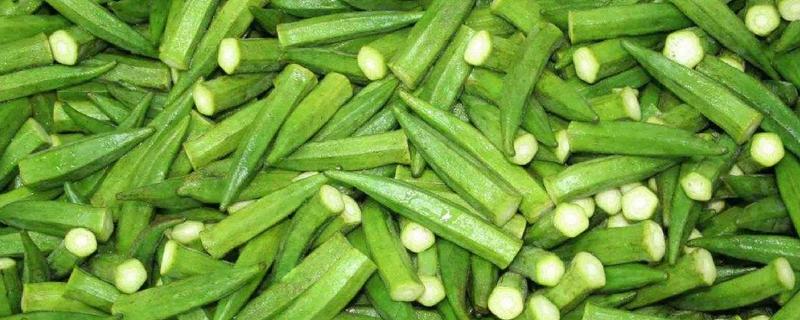 黃秋葵價(jià)格多少錢一斤