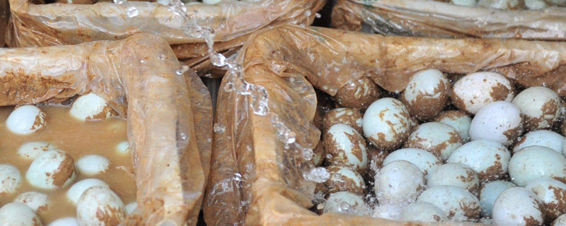 咸鴨蛋的腌制方法 怎樣腌咸鴨蛋