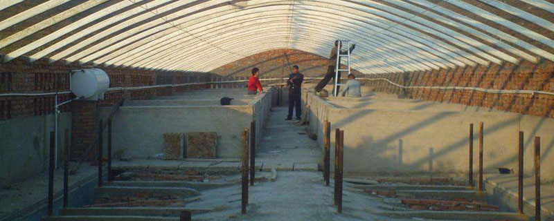 大棚養(yǎng)河蟹