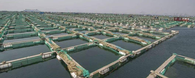 養海參水深多少米合適